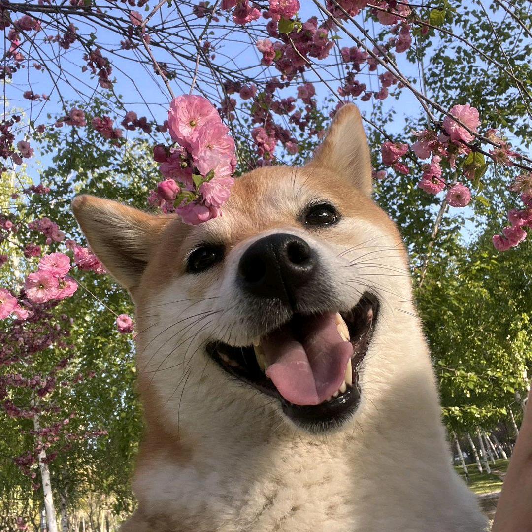 废旧磁带