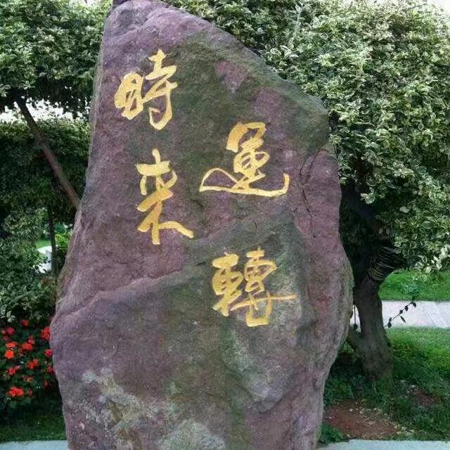 遇贵得财