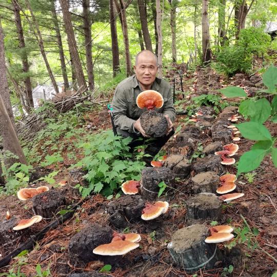 长白山深山人家特产店