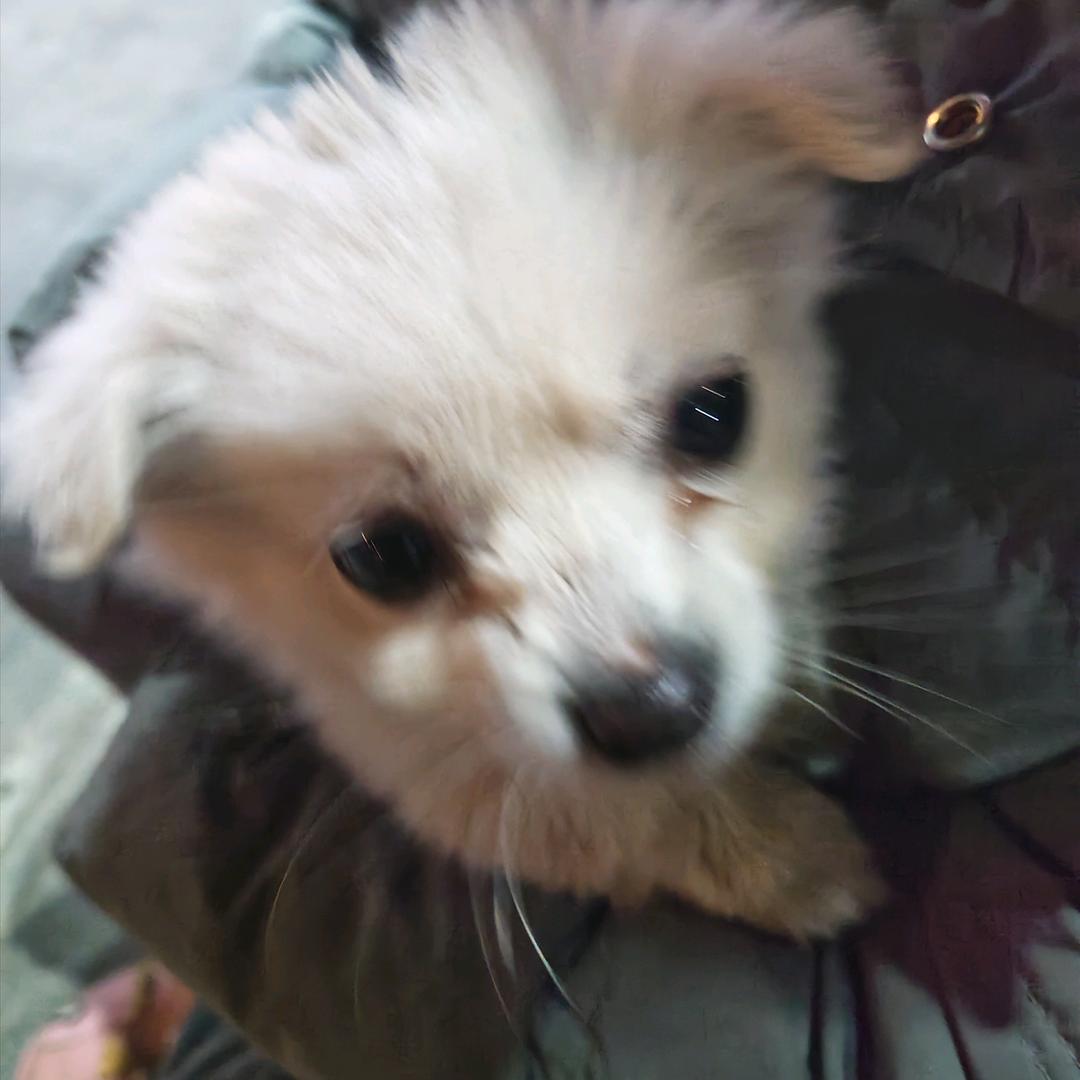 @爱吃芒果的小孩