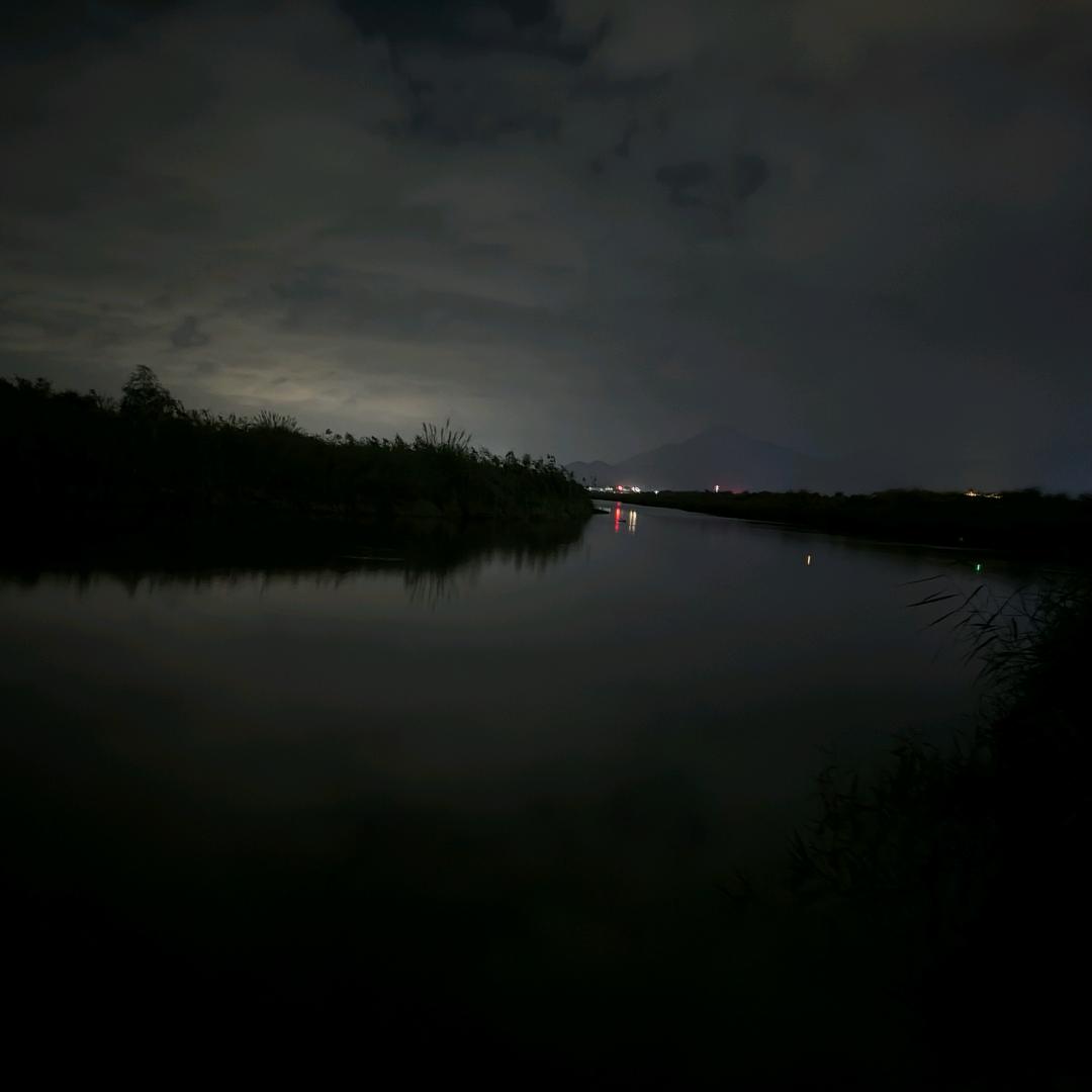 来个包子