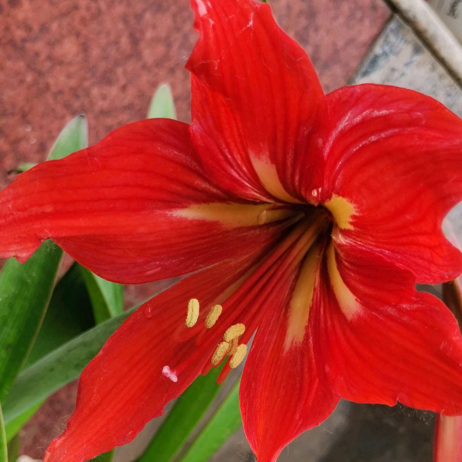 @⭐️寻寻幂幂🌹🌹🌹