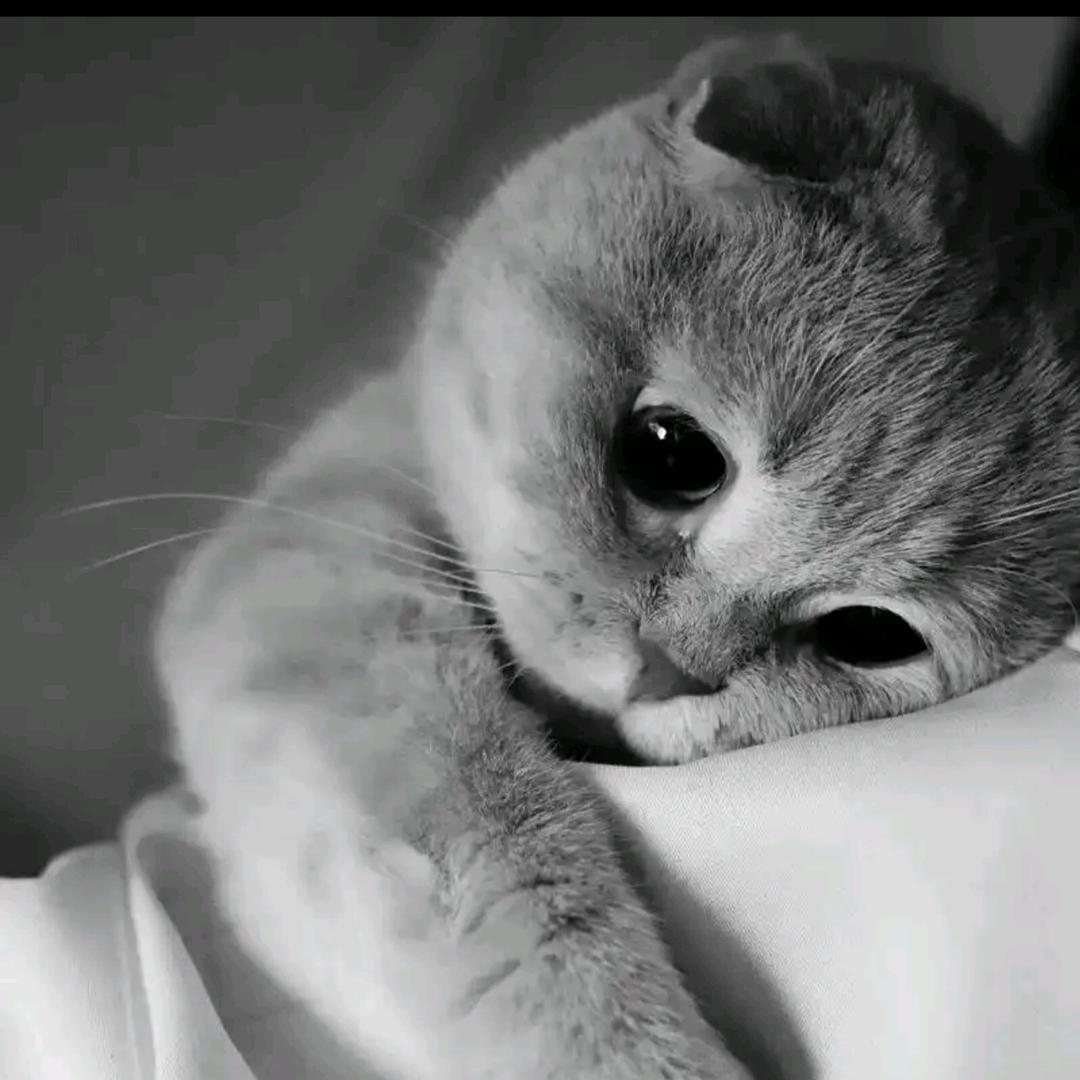 ღ如有来生᭄ꦿ࿐