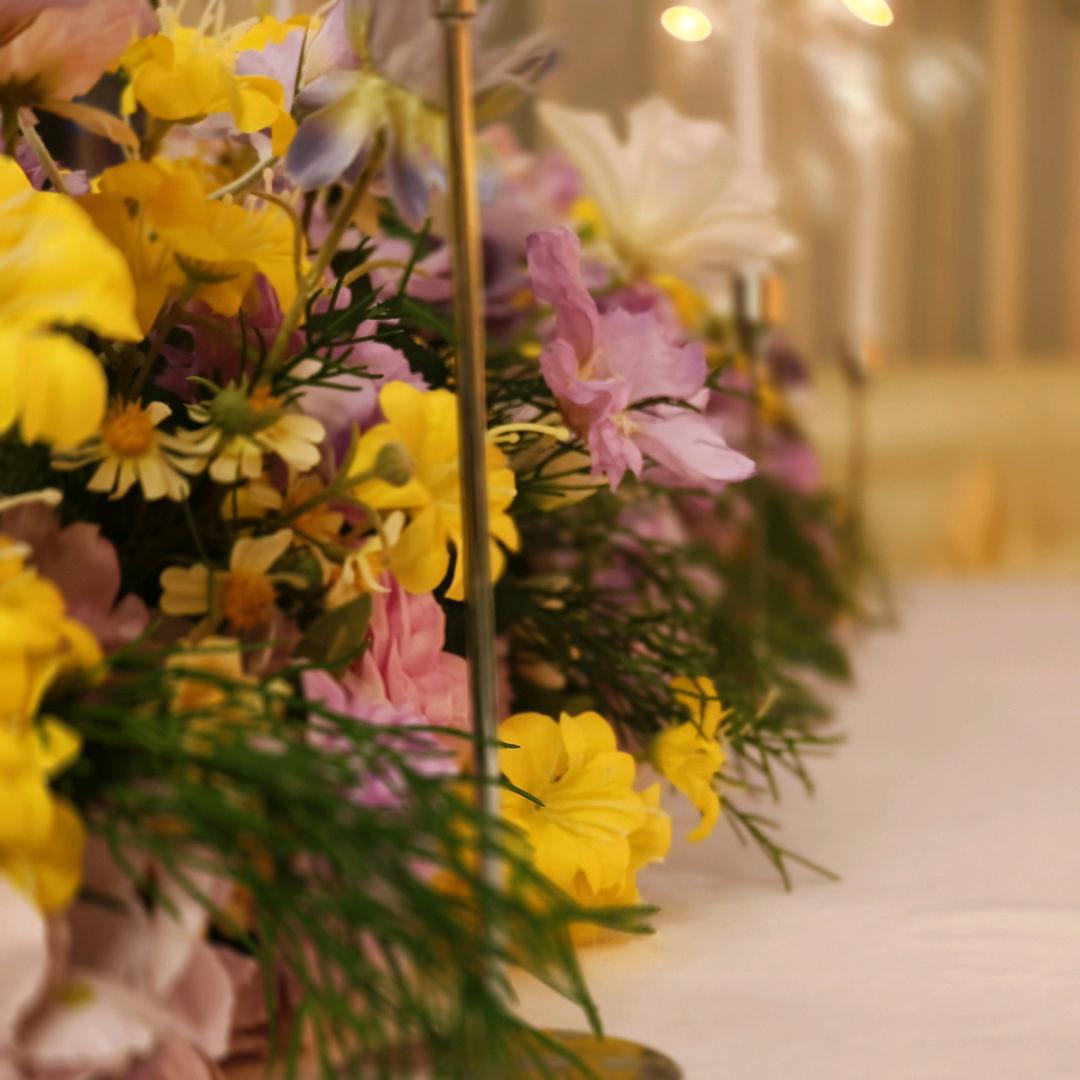 独行者(·•᷄ࡇ•᷅ ）