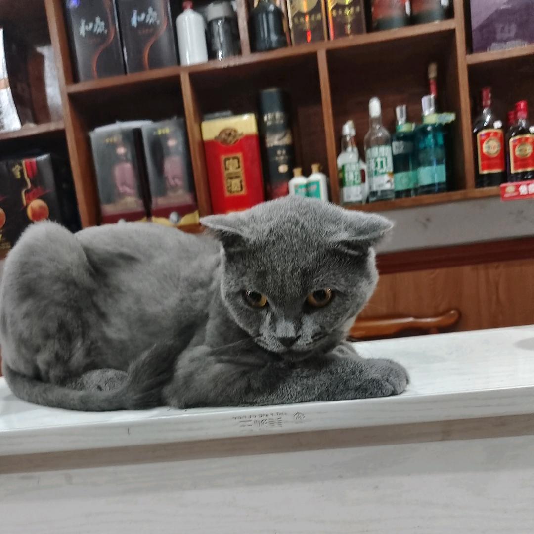 玥姐1