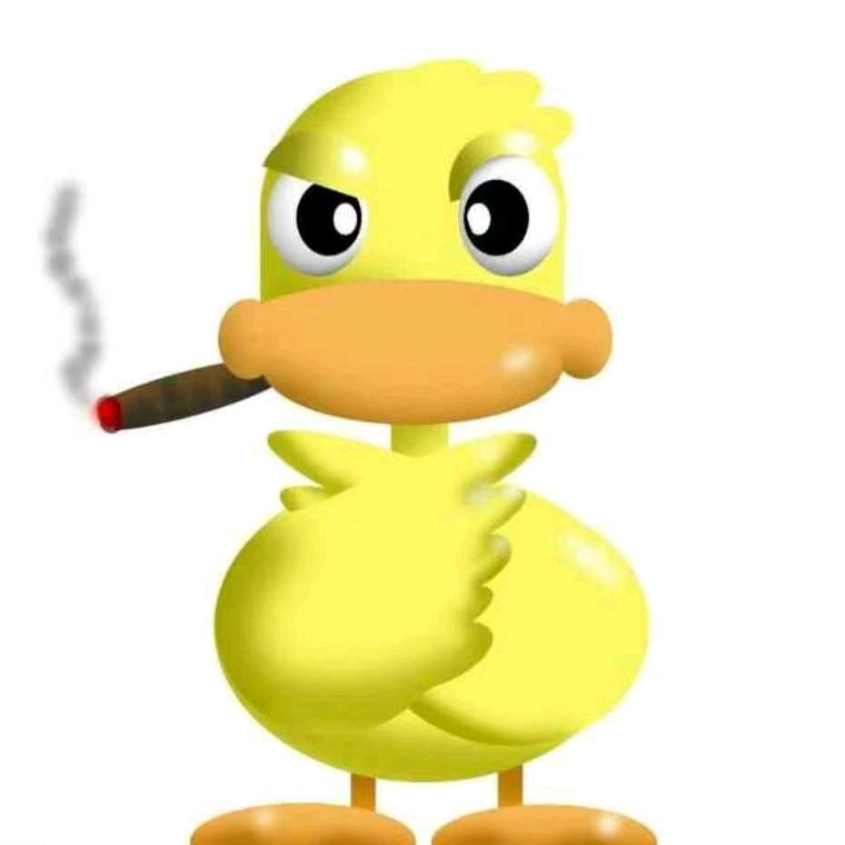 Duck  ⁶¹⁰🐥