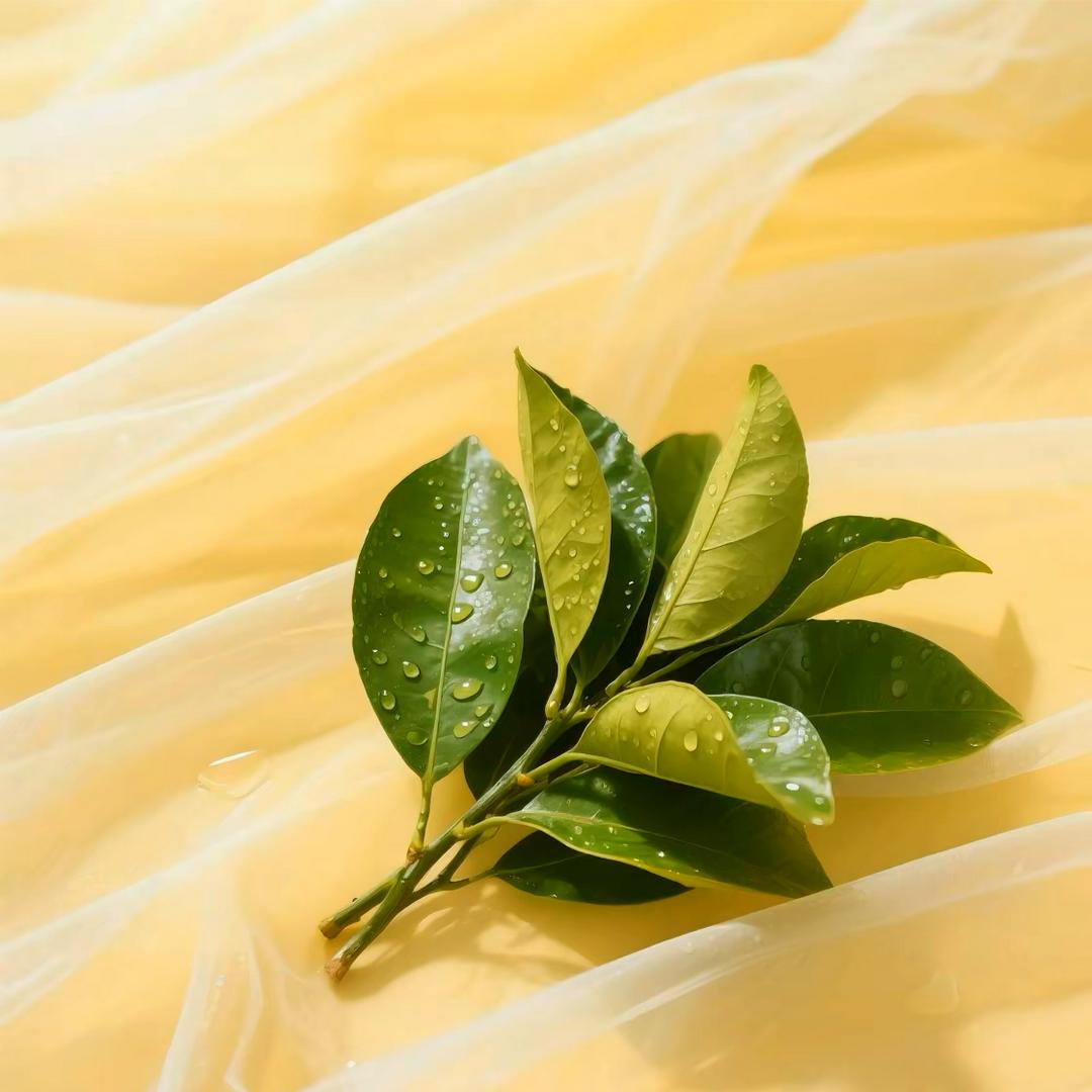 养一只阿瑞吖🐽