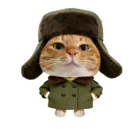 贩卖夜晚的小李