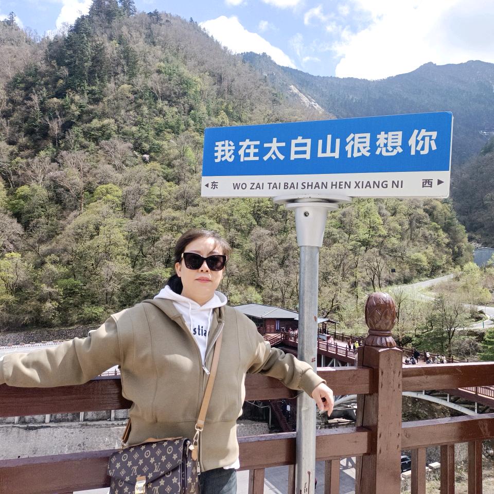 胡司令