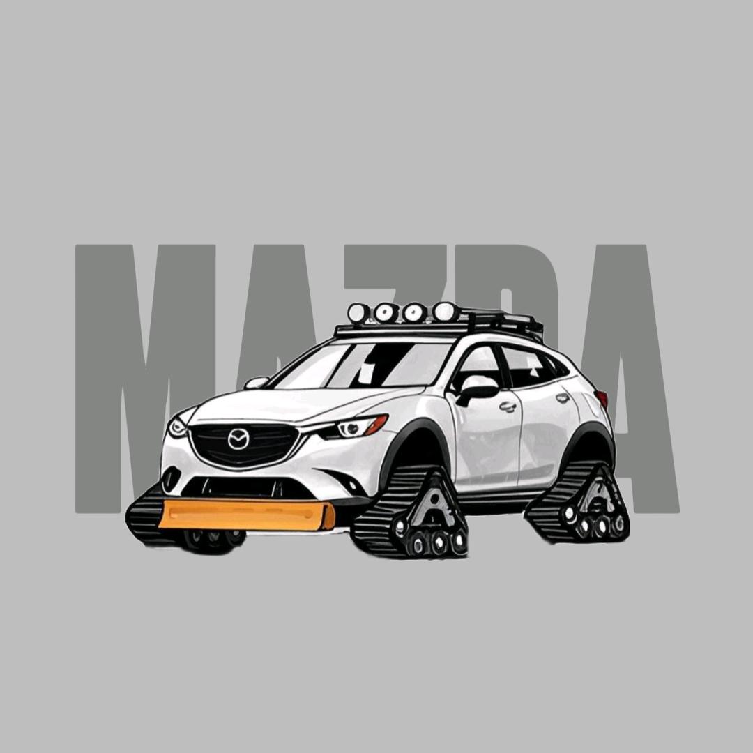 玩模型的小王
