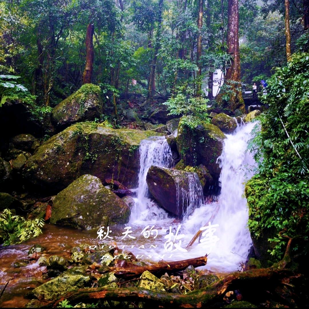 龙江峻巍