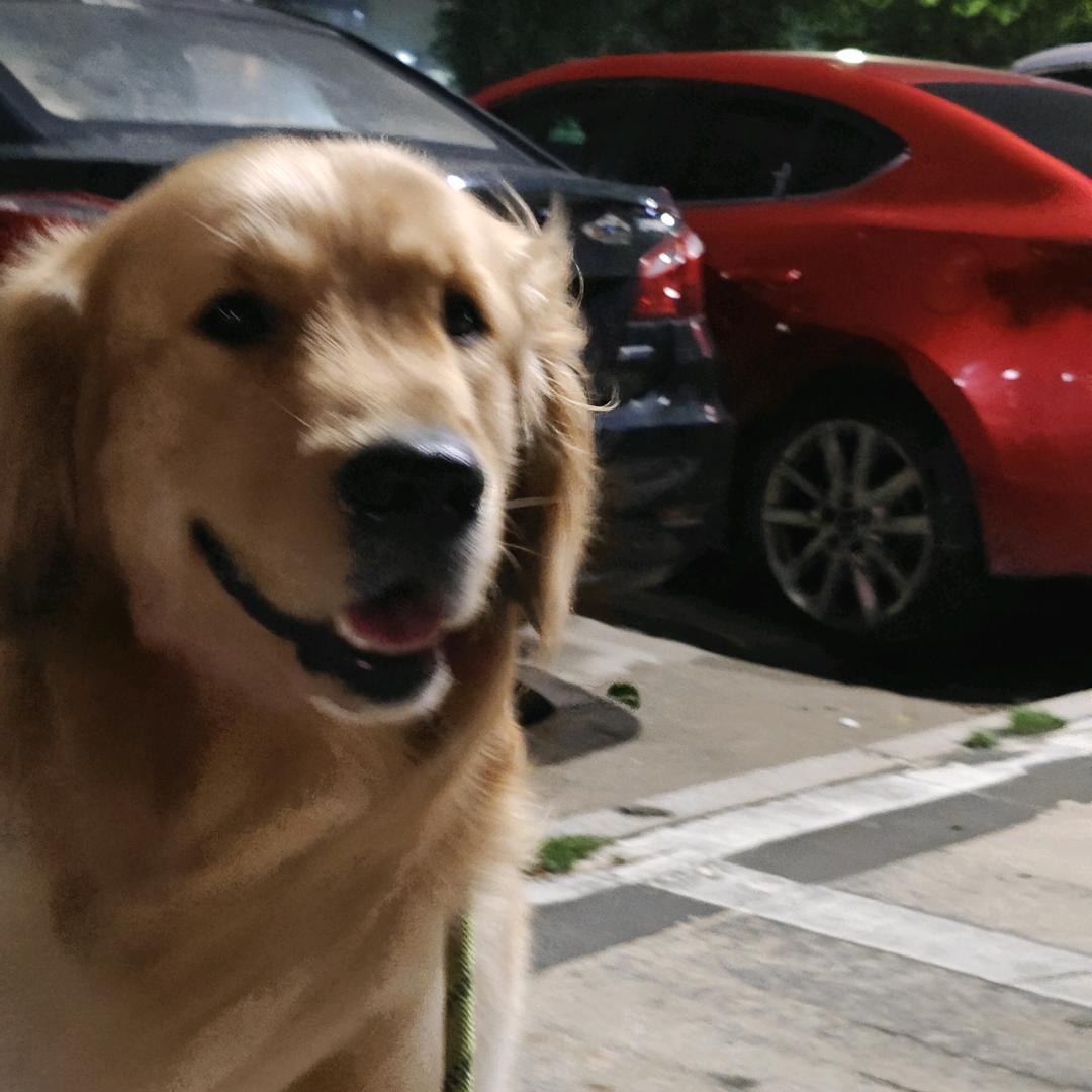 摇头晃脑
