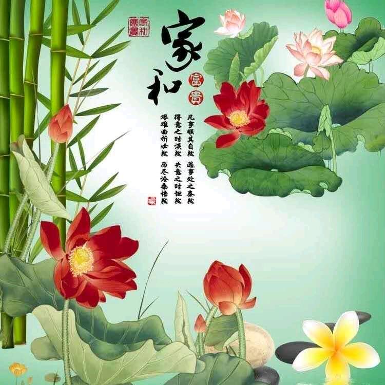 纳兰飘雪