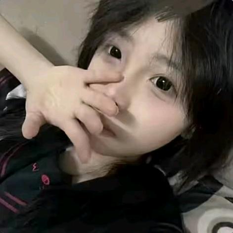 柠檬茴香🍋