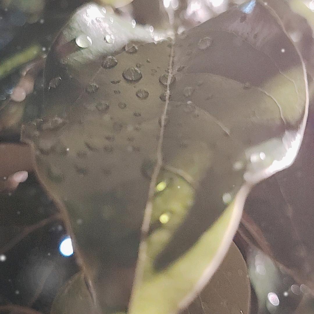 什么叫专业