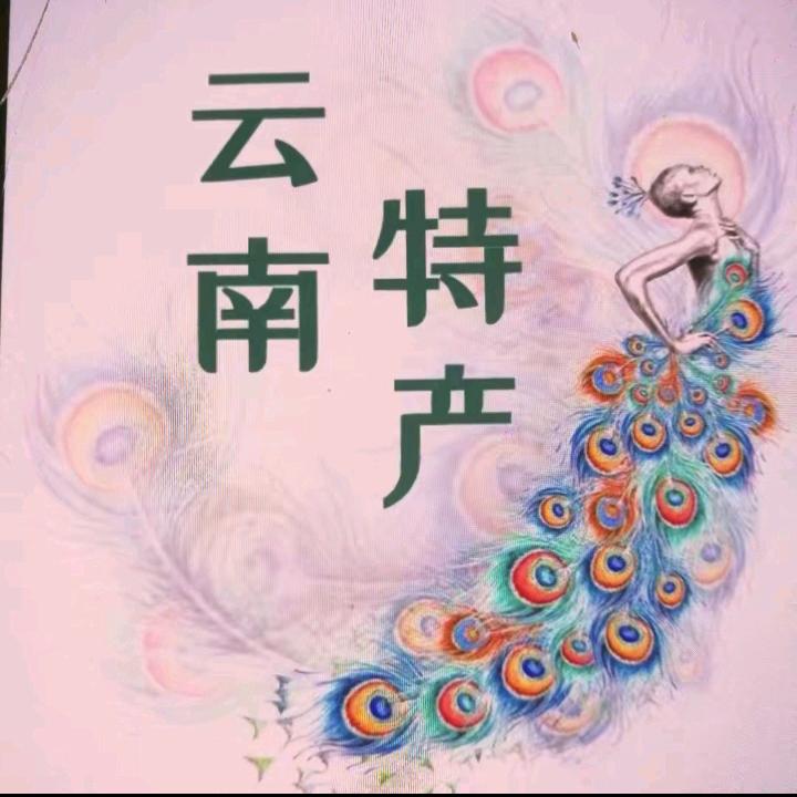 云南特产丝