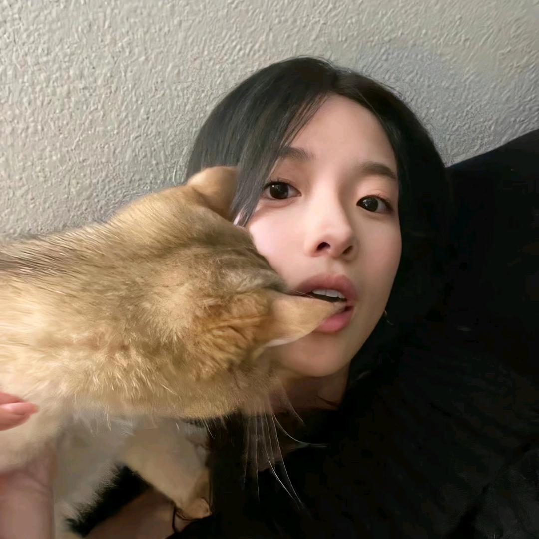 格格酱