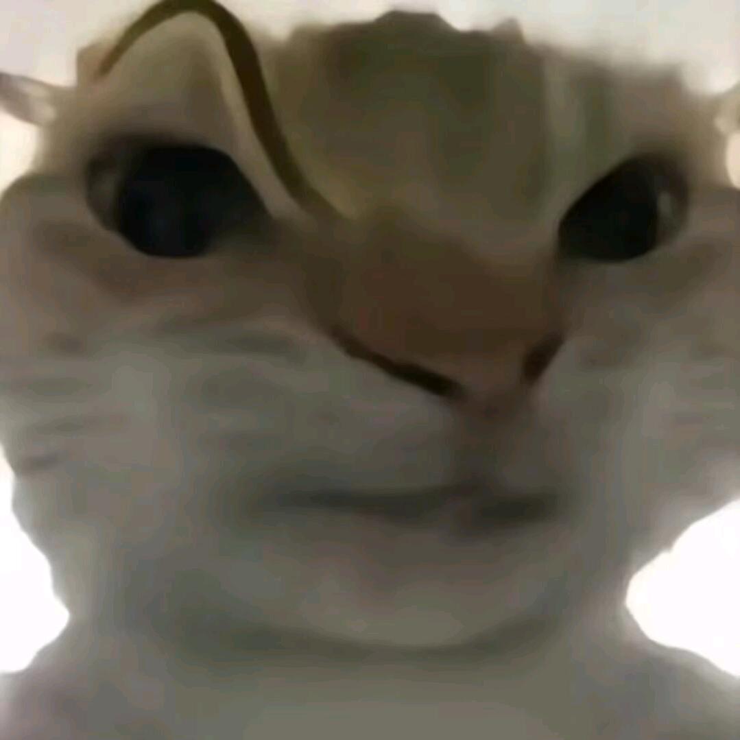 等你感谢