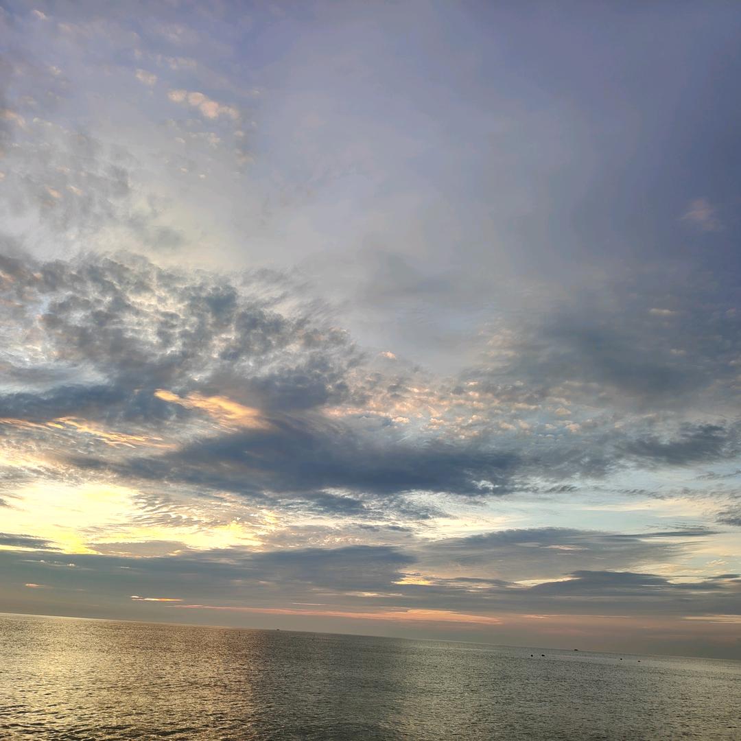 飞飞还没睡醒