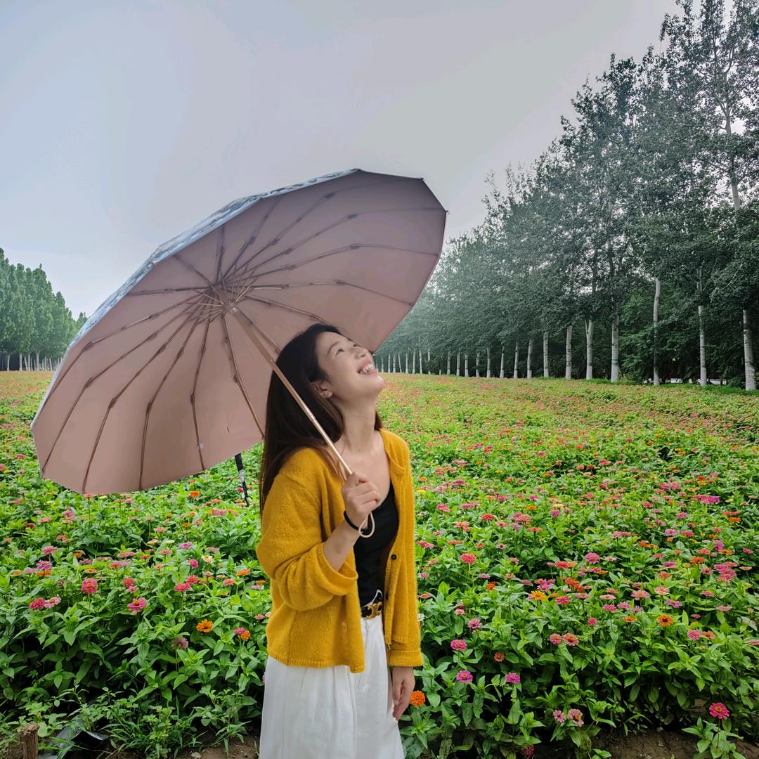 倔驴儿