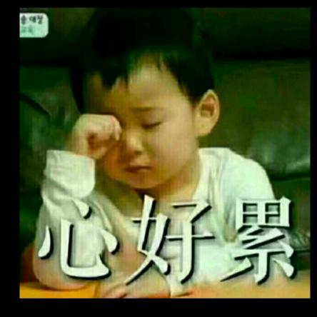 农村丽姐