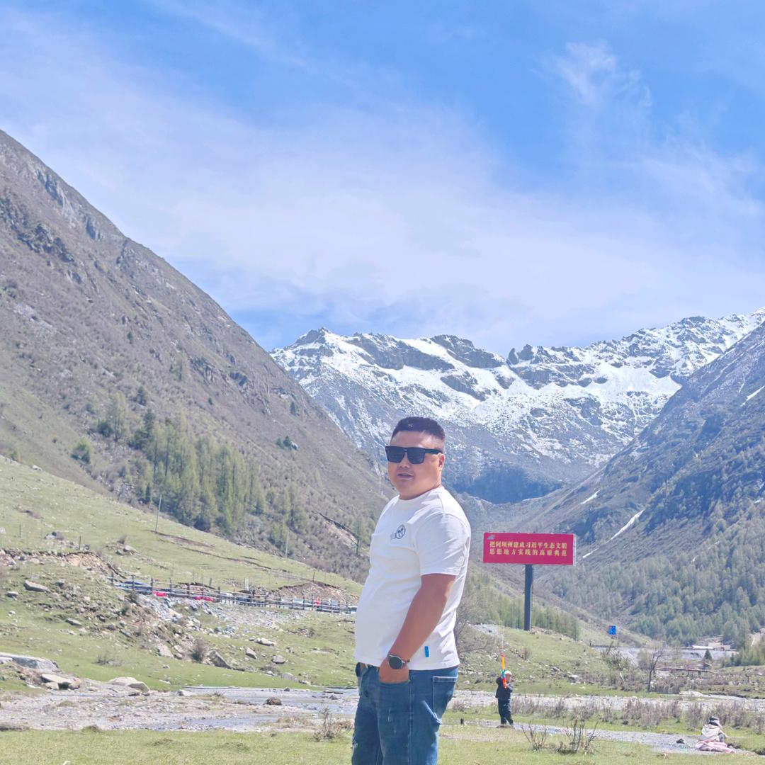 梓阳机械（钩钩车）