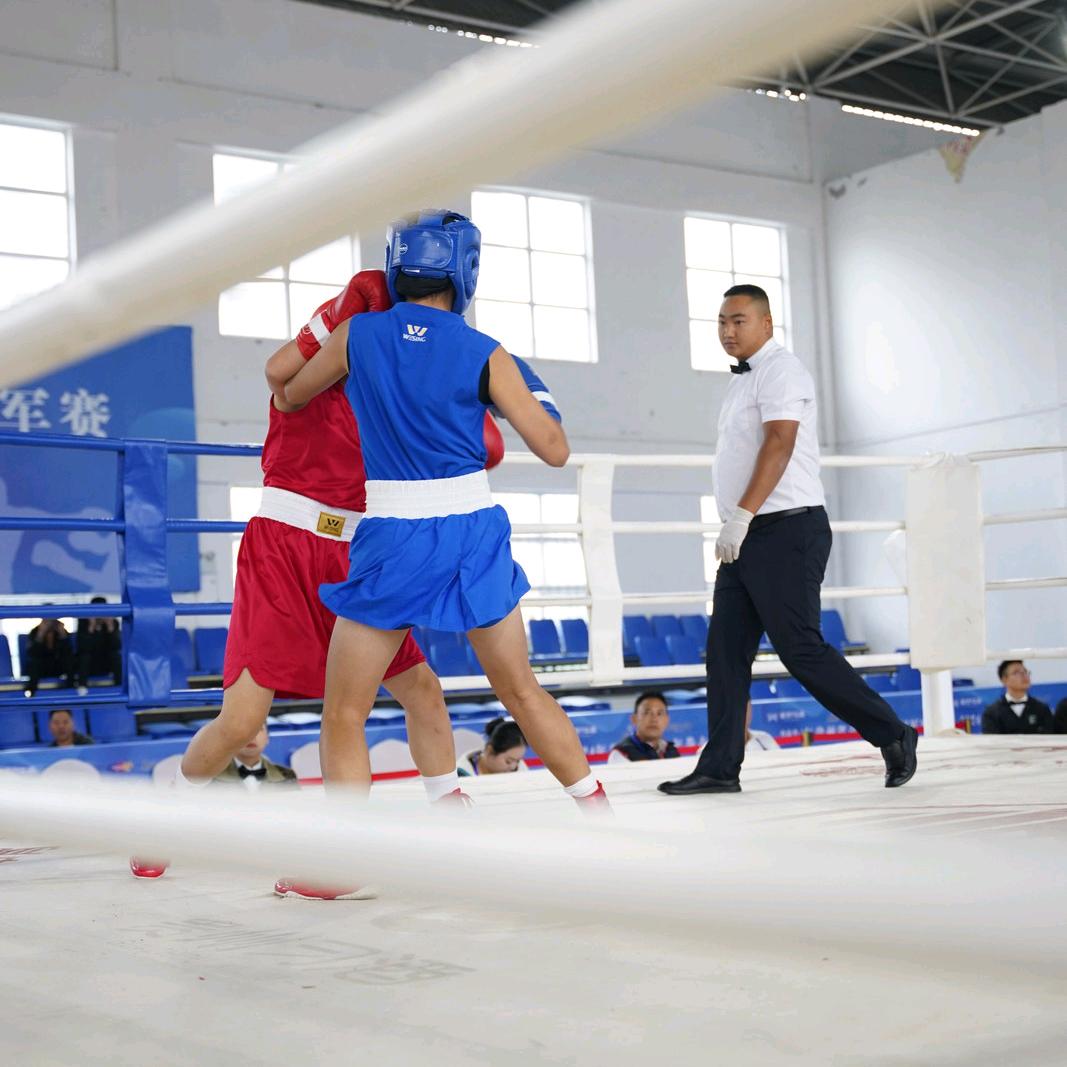 boxing教练