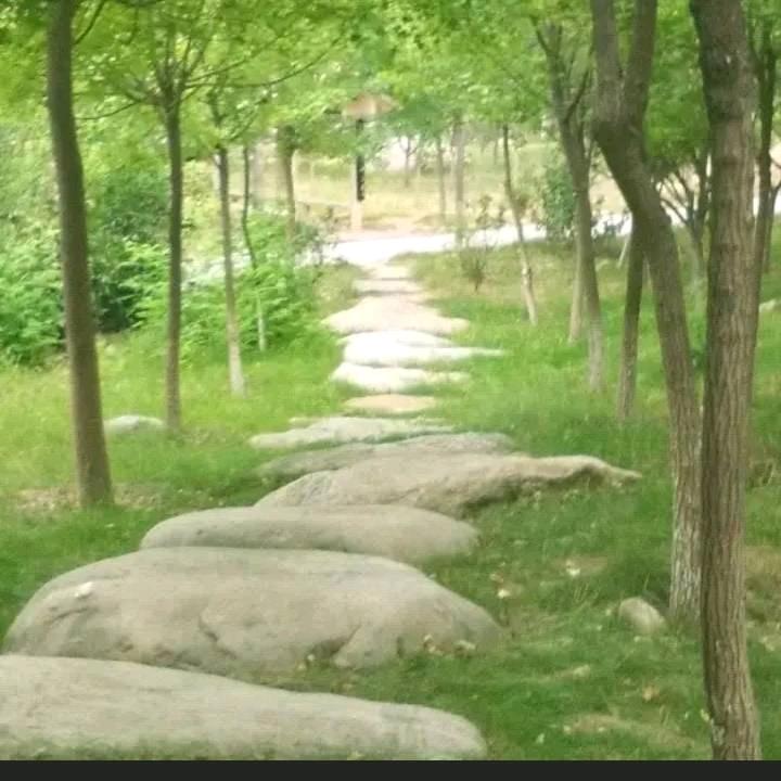 我在远方