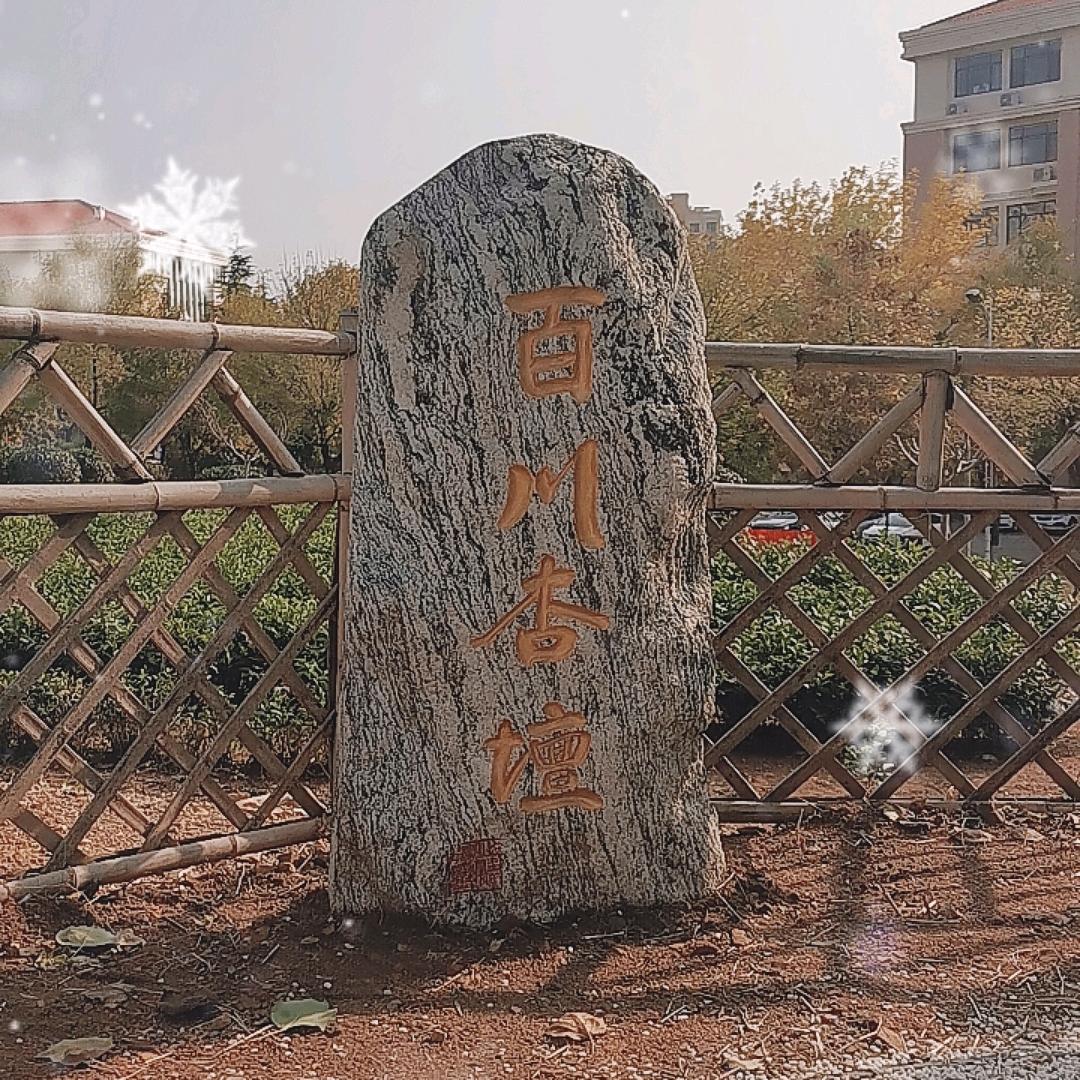 又见斗乐乐