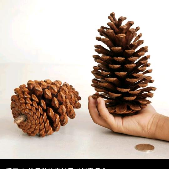 ៚᭄星🍀河དྷ༗࿐