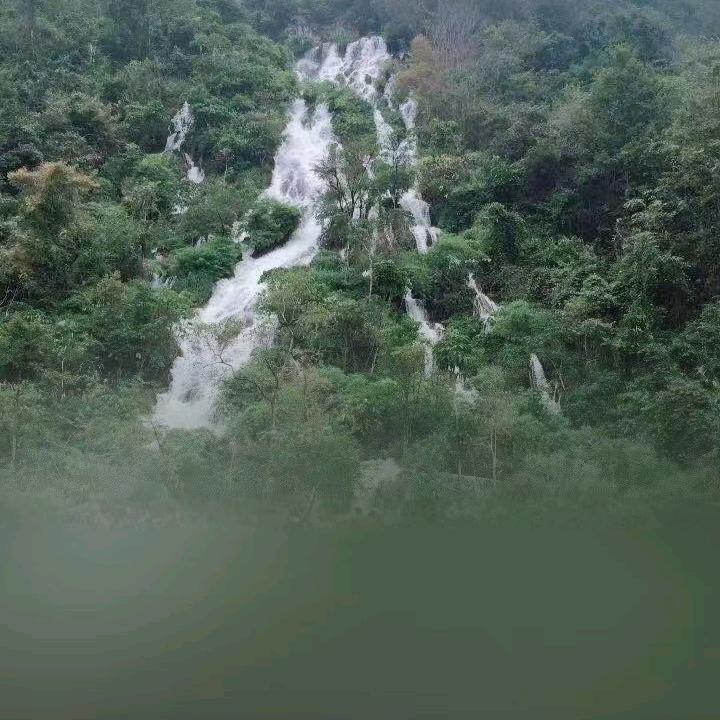 忘情