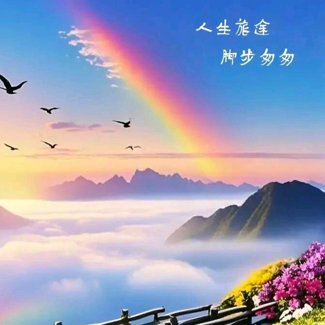 🥀晨曦🌿星语🍓ོ࿐