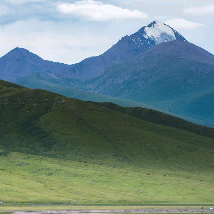 阳光明媚的一天