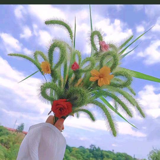 🦌家菇凉