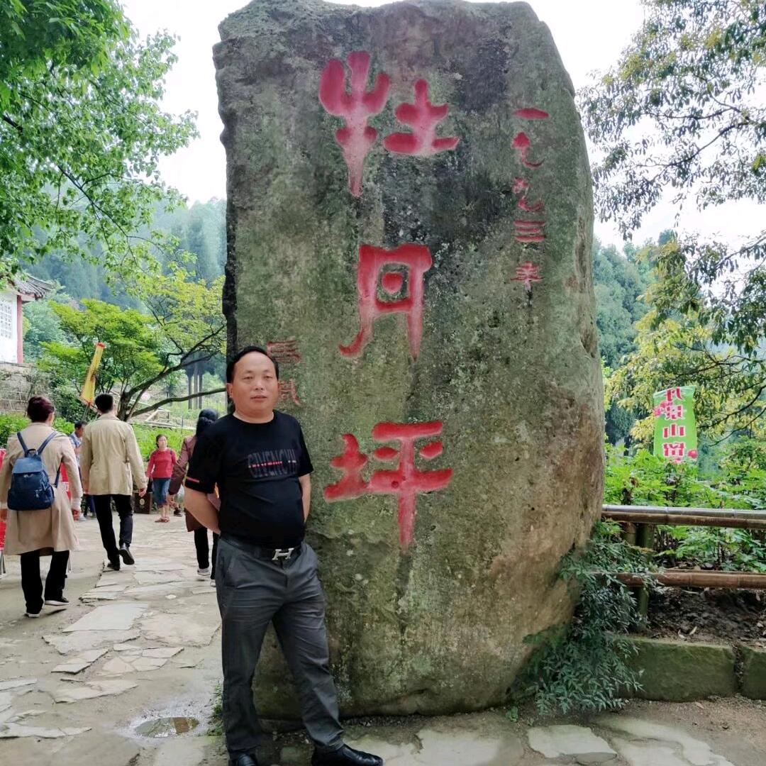 梦还在残留（抖鑫186绿植优选）