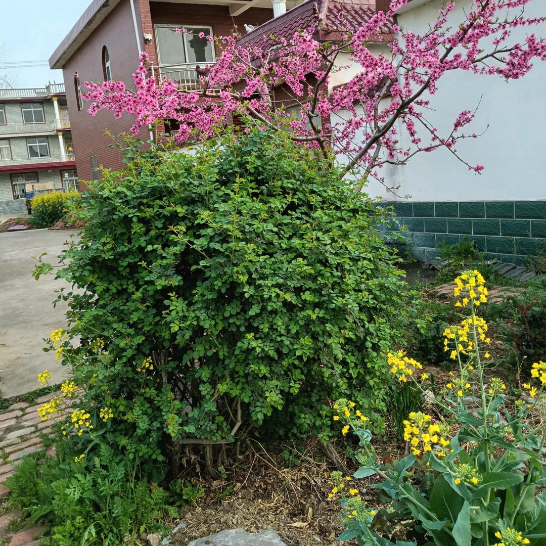 勇闯天涯🌞