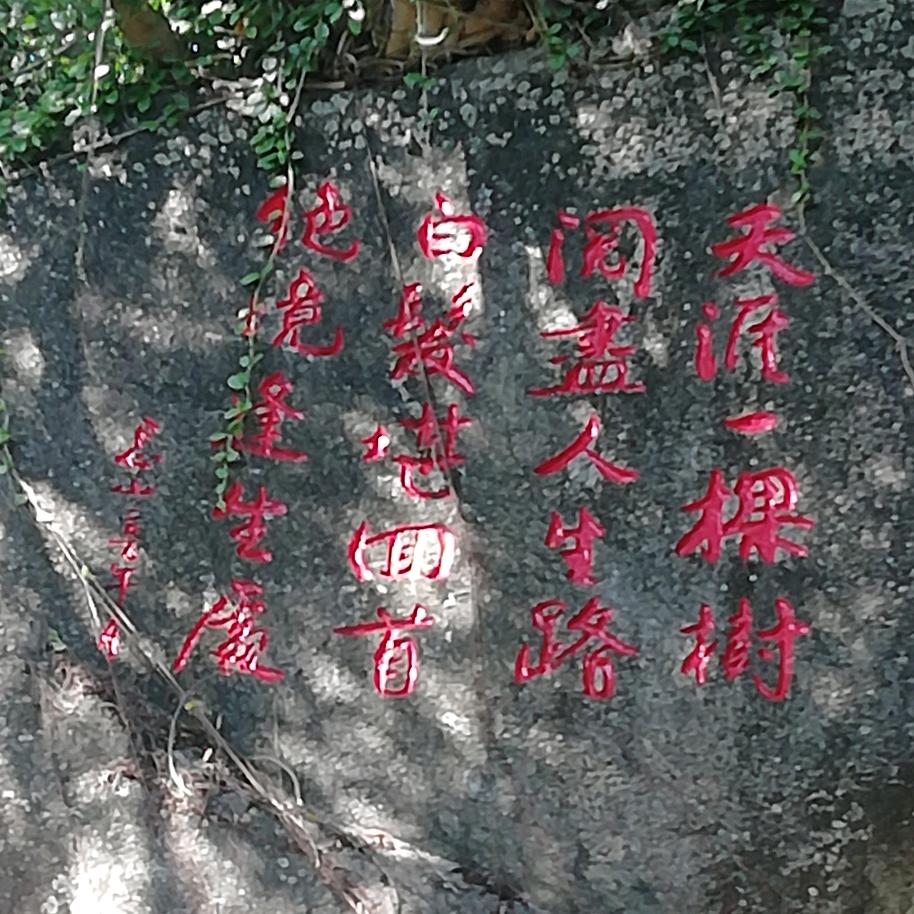 ♥吕家^O^小厨娘