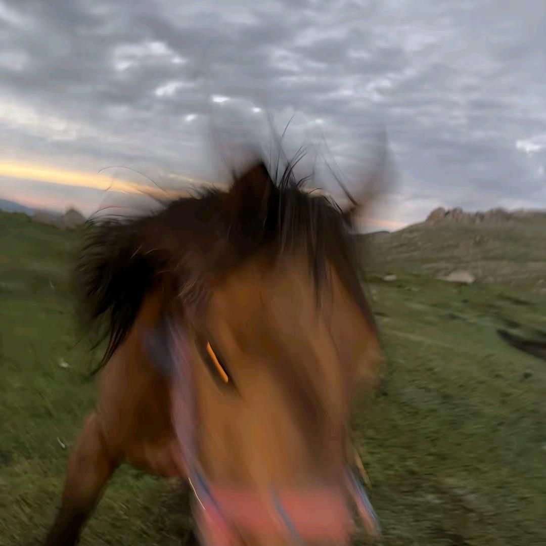 心比咂软ㅤ