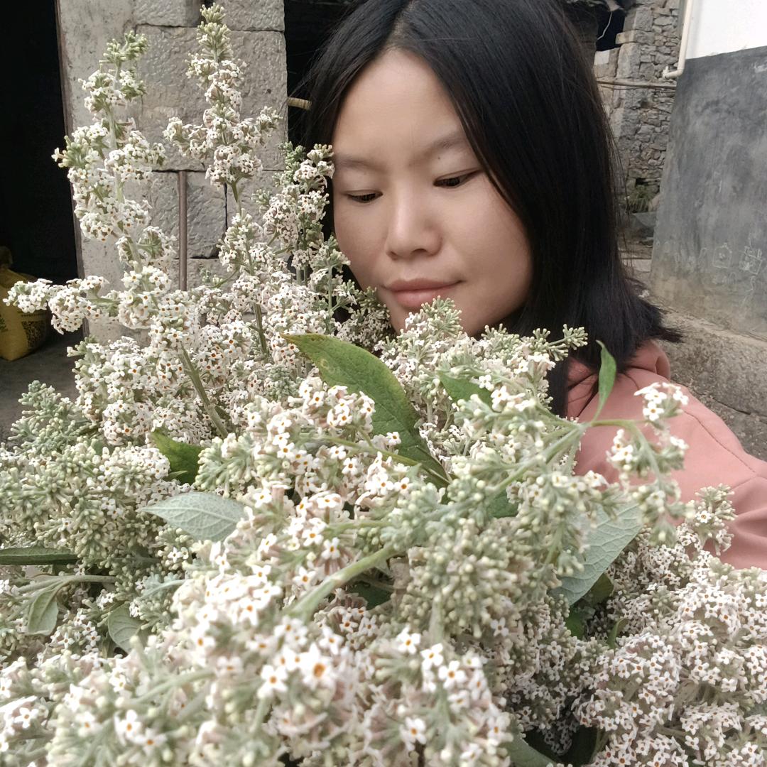 @黎小姐 《情感》 🍀