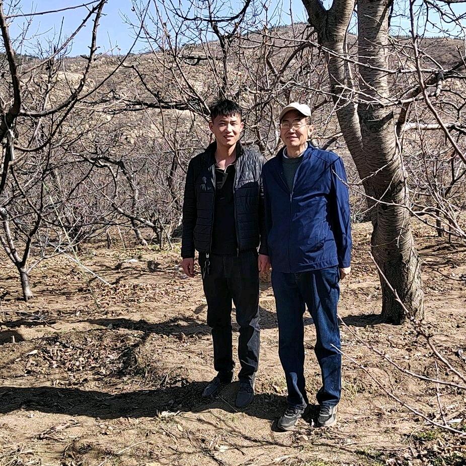 泰安万亩大樱桃官方账号