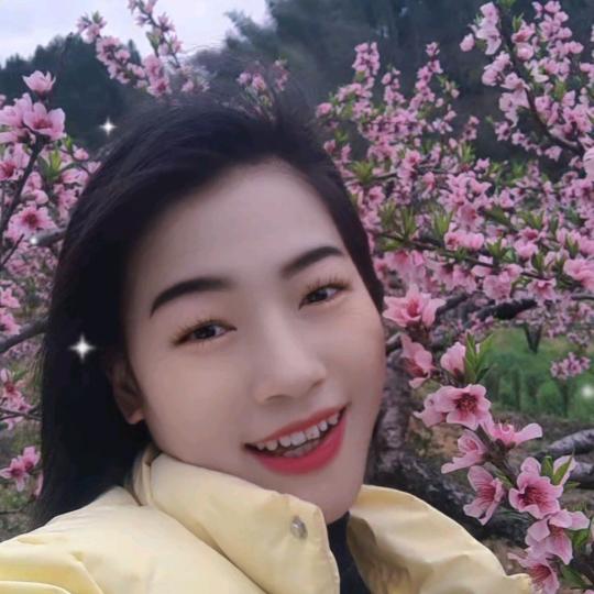 娟子《橱窗有好物》