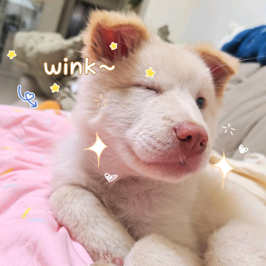 开心松松