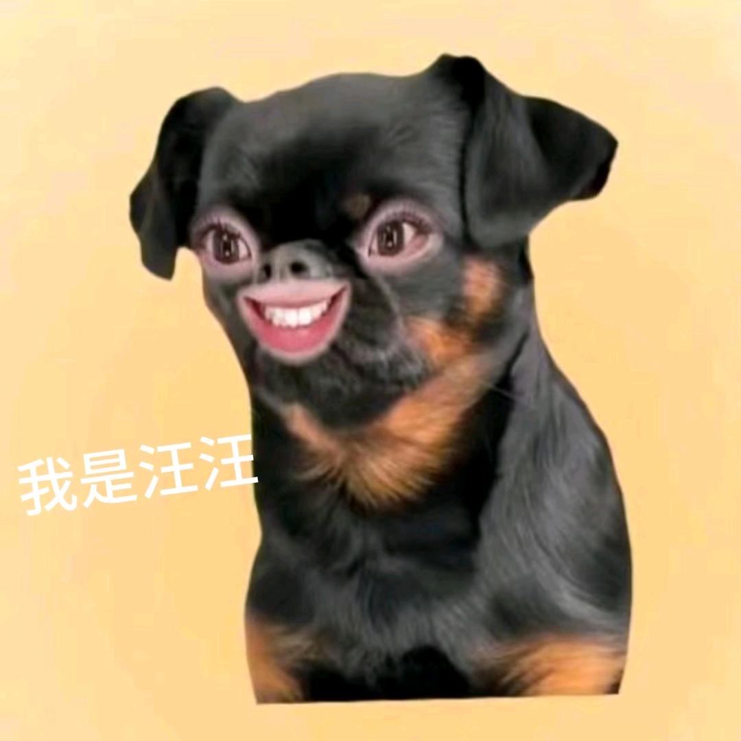 魚魚大王🐟¹²