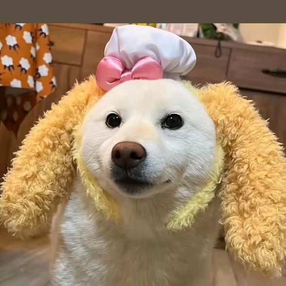 ☾⋆꯭᭄莱彩♡̶ꦿོ࿐