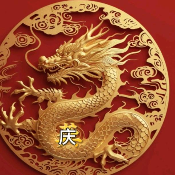 飞龙🐉无情🐉