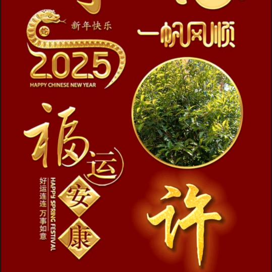 心想事成