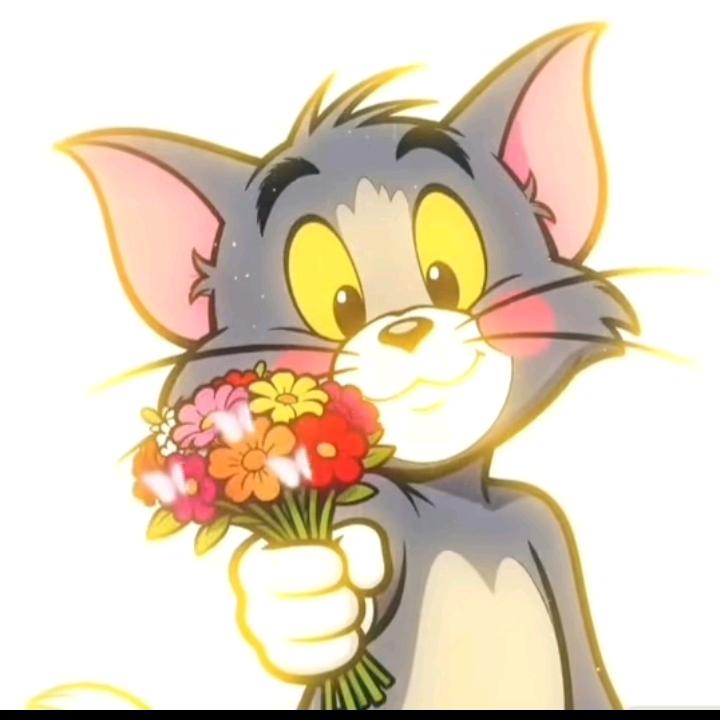 满目星辰皆是你。