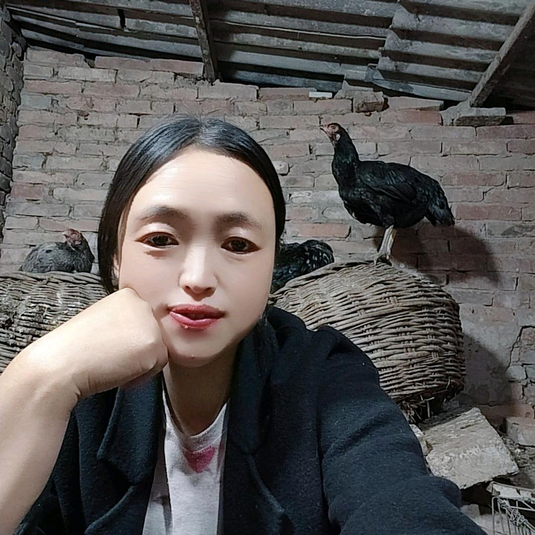 豫东.王紫家斗鸡