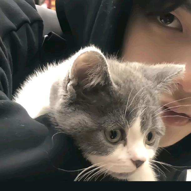 马可波罗吃着菠萝吹雪卖水蜜桃（梨花诗）