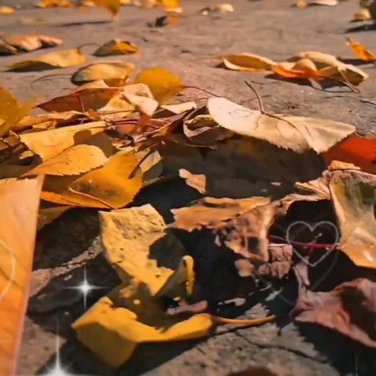 🍊🍊小宇🍊🍊